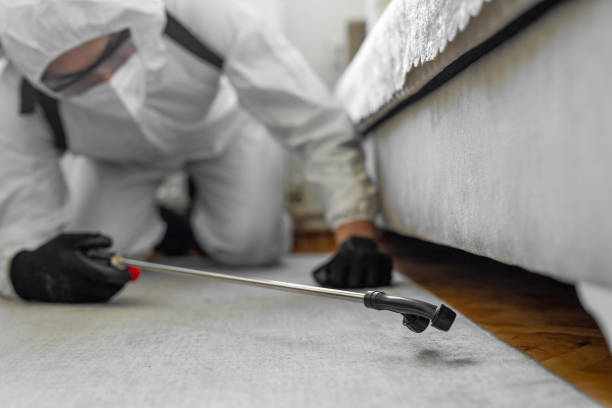 Professional Pest Control technician working in Lakeside, VA